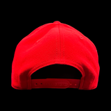 Flexfit 110 Georgia Flatbill Hat