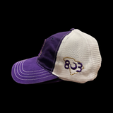 Richardson 111 BL Panthers 803 Special Edition Relaxed Trucker Hat