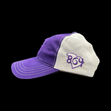 Saluda Tigers 864 Special Edition 3D Purple White Relaxed Trucker Hat
