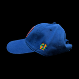 Richardson 326 Blue FL Performance Cleanup Hat