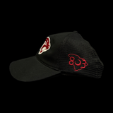 Richardson 111 Pelion Special Edition Black Trucker Hat