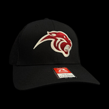 Richardson 110 Pelion Special Edition Black Fitted Mesh Trucker Hat