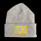 Lake Wylie Chargers Nation 803 Cold Weather Beanie