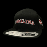 Flexfit 110 Carolina Flatbill Hat