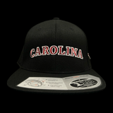 Flexfit 110 Carolina Flatbill Hat