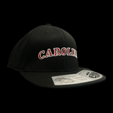 Flexfit 110 Carolina Flatbill Hat