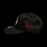 Richardson 112 Pelion Special Edition Black Trucker Hat