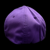 Clemson Nation Performance Fitted Hat