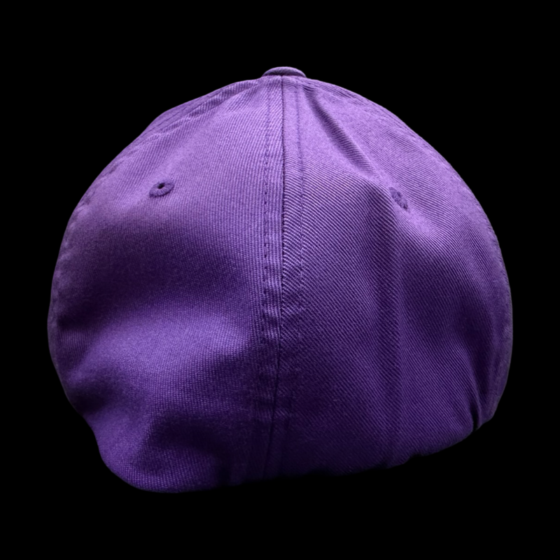 Clemson Palmetto State Performance Fitted Cotton Hat